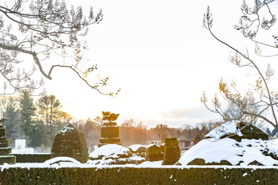 topiary forms with snow on top